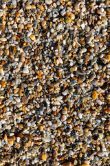 Pebbles on the beach washed by waves, at Mitchell Rocks, Otago Region, New Zealand