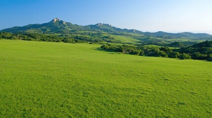 Fototapeta premium Lush green pasture, distant mountains, sunny day, peaceful landscape, ideal for travel brochures