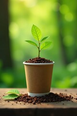 Paper cup coffee cup with plant stems and leaves on table, paper cup, forest, eco friendly