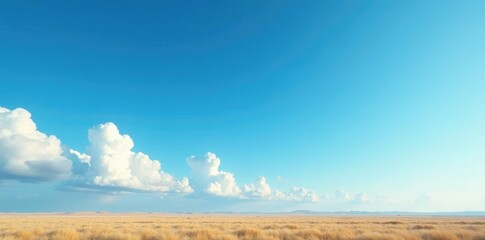 vast expanse of open sky with a few wispy clouds, nature, sky