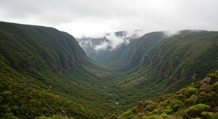 Obraz premium Misty Mountain Valley: A Breathtaking View
