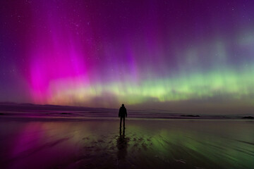 The stunning Southern Lights (aurora australis) over Dunedin, Otago Region, New Zealand.