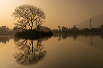 A winter-bare tree reflects in a tranquil lake, captured in long exposure. Warm tones and soft, smooth effects create a dreamy, serene, and ethereal atmosphere.