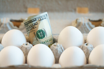 Rising Cost of Living, Eggs, Grocery Prices, Inflation, Dollar Bills Concept
