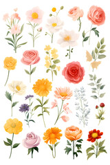 Digital watercolor flowers clipart set print pattern flower abstract graphic poster background