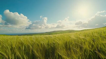 Fototapeta premium Expansive green meadow, a breathtaking landscape of lush grass and serene natural beauty