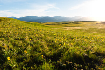 The Grass Doesn't Get Much Greener Than This