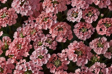 Beautiful flower background of pink gypsophila flowers. Flat lay, top view. Floral pattern. Generative AI