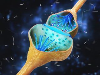 Neuron, nerve cell axon and myelin sheath substance that surrounds the axon detailed anatomy illustration. 3d illustration