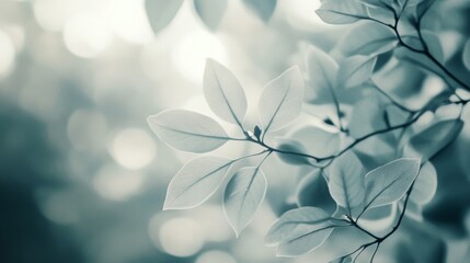 Fototapeta premium Delicate Leaf Details in Nature's Embrace