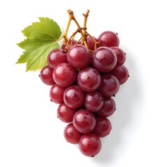 Fototapeta premium Nature's Bounty A Cluster of Luscious red Grapes 
