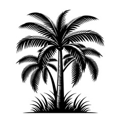 Palm Tree Silhouette: A striking silhouette of a palm tree, rendered in elegant black and white, evokes the tropical allure of sandy beaches and vibrant sunsets.