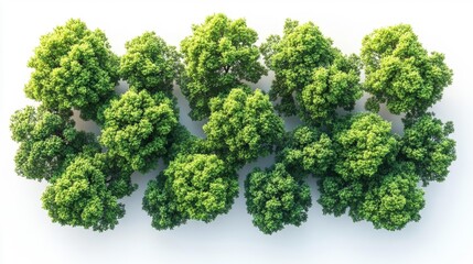Top view of vibrant green trees isolated on white background. Generative AI