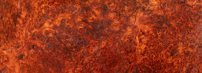 Obraz premium Natural Afzelia burl wood stripe is a wooden pattern