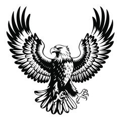 Eagle symbol illustration featuring a bold and dynamic design. Icon design isolated on a white background. Vector illustration