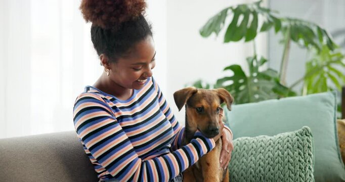 Cuddles, lick or love with dog and woman on sofa in living room of home together for bonding. Companion, friendship or loyalty with owner and pet puppy in apartment for care, comfort or support