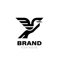 Gull Logo. Gull Logo Design. Gull Logo Brand. Gull Logo Vector Design Isolated on White Background