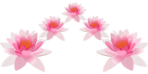 lotus flower vector design for vesak day eps 2