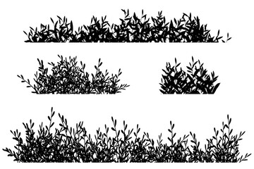 bush silhouette background vector