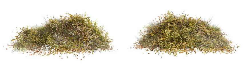 dry grass isolated on white