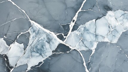 Elegant blue and white marble texture with intricate veins