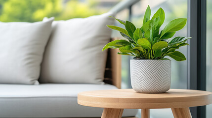 Stylish urban balcony with potted plant on wooden table