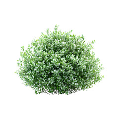 Fluffy 3D Cartoon Bush Isolated on Transparent Background