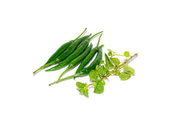 Obraz premium Long-size Green chilli with various angles. 