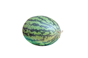 Single green watermelon tropical fruit with stem isolated on white background , clipping path 