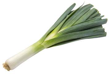 Fresh Leek on Black Background