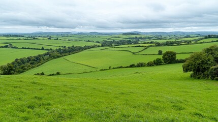 Fototapeta premium Rolling green hills, farmland landscape, overcast sky, peaceful countryside view, ideal for travel brochures