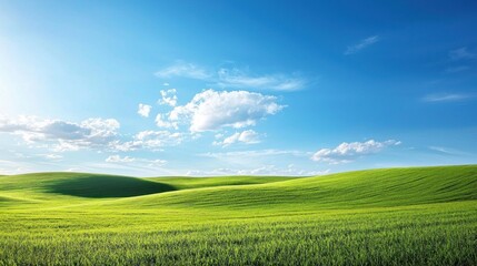 Fototapeta premium Serene Green Hills Under a Summer Sky