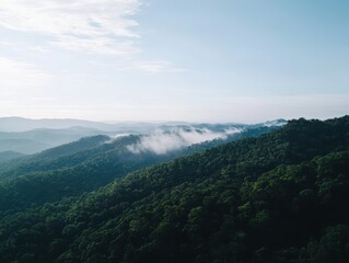 Obraz premium Natural transpiration Concept. A serene landscape showcasing rolling green hills shrouded in mist under a clear sky.