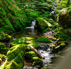 waterfall in the forest