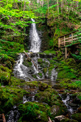 waterfall in the forest