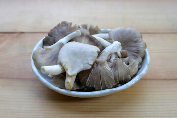 Oyster mushroom or lung oyster