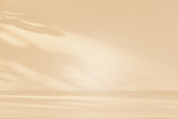 Wall interior background, studio and backdrops show products. with leaf shadow from window color beige and white. background for text insertion and presentation of product	