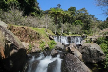 beautiful landscape of cibodas botanical garden in west java indonesia