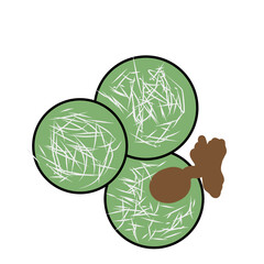 indonesian traditional food