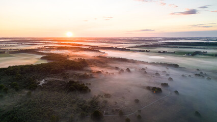 Sunrise illuminating foggy landscape with trees and fields
