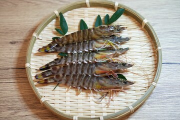 新鮮なクルマエビの輝き
