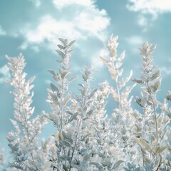 White sage plants in an artistic overlay, surrounded by soft glow, cool pastel gradient shifting from mint to cloudy sky blue, tranquil mood