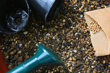 seed starting, close up gardening background with soil and seeds