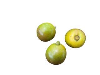 White teak tree fruit isolated on white background.