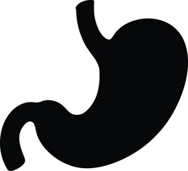 Illustration of Human Internal Stomach Anatomy. Stomach vector art with white background