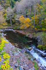 久慈渓流と紅葉　岩手県
