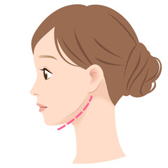 エラが張っていない女性の横顔