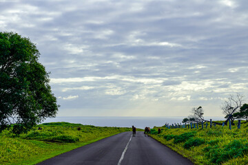 Fototapeta premium Roads of Rapa Nui, Easter Island Chile