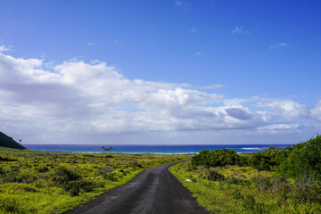 Roads of Rapa Nui, Easter Island Chile