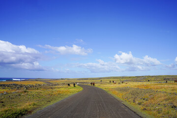 Roads of Rapa Nui, Easter Island Chile